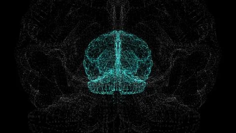 Digital brain picture made of beaming particles floating in black space. イラスト素材