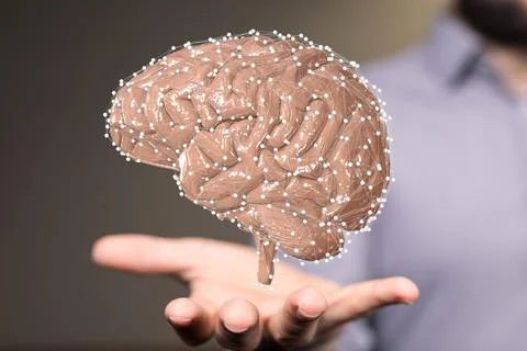 A digital brain render with an interconnected network of lines- artificial in Stock Photos