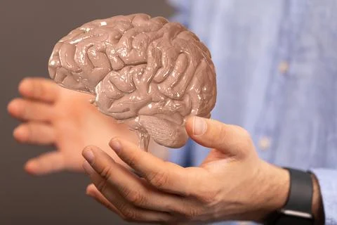 A digital brain render with an interconnected network of lines- artificial in Stock Photos