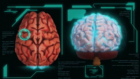 Digital Brain Scan HUD Screen Animation Stock Footage 169303708