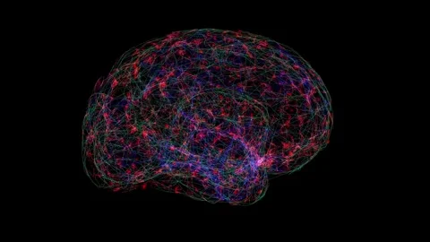 Digital Brain1.mp4 Видео 343869885