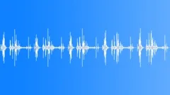 Digital camera auto clicks 01 Sound Effect