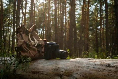 A digital camera with a backpack lies on a log in the coniferous forest Foto stock