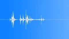 Digital camera click 02 Sound Effect