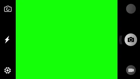 Digital camera interface mockup featuring bright green screen display overlay Stock Footage 340880604