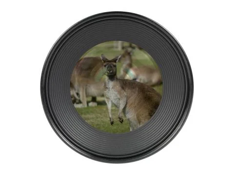 Digital camera lens Stock Photos