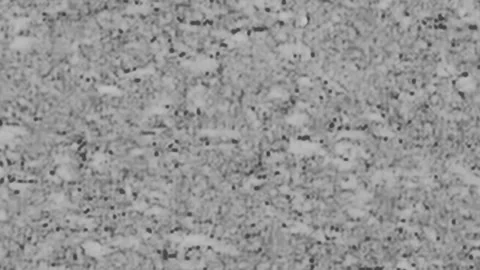 Digital camera noise Stock Footage 166520164