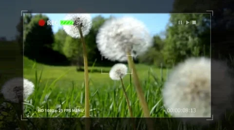 Digital Camera Recording Screen Stock After Effects