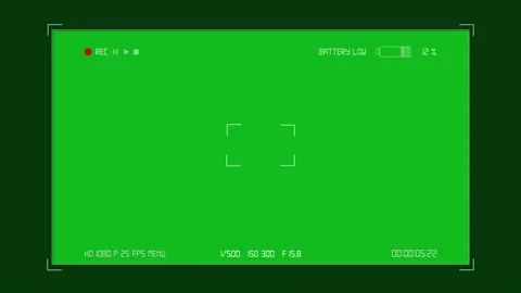 Digital Camera Recording Screen Low batery Stock Footage 148964665