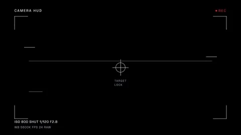 Digital camera viewfinder interface with technical recording metadata 스톡 동영상 343881065
