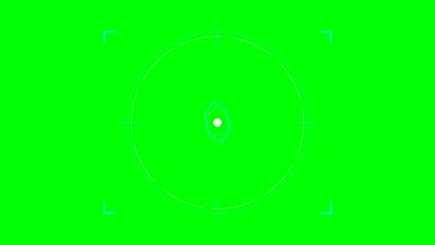 Digital camera viewfinder overlay with central focus point on green screen Stock Footage 340266200