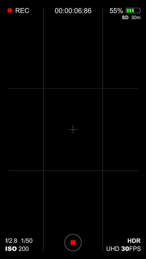 Digital camera viewfinder recording screen interface. Stock Footage 331491371