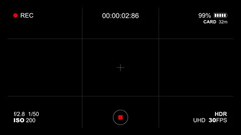 Digital camera viewfinder recording screen interface. Stock Footage 332774332