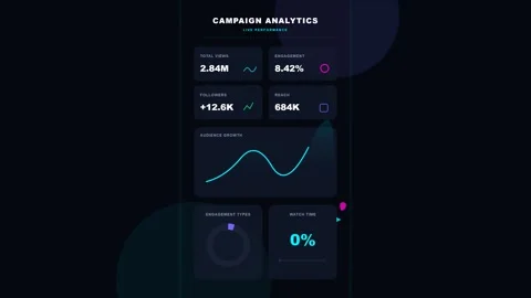 Digital campaign analytics dashboard with live performance data Stock Footage 340438797