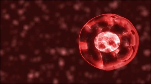Digital cell blood dividing space particles for head up display. Stock Footage 82749084