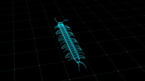Digital Centipede Wireframe on Grid Background Representing Technology Inno.. 库存影片 343863367