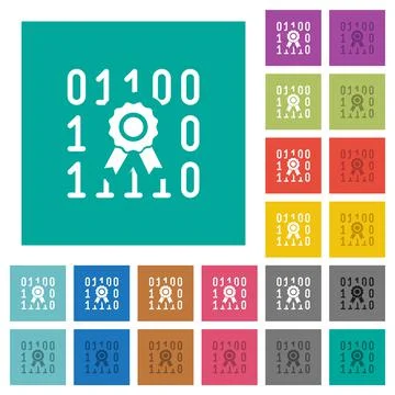 Digital certificate square flat multi colored icons Stock Illustration