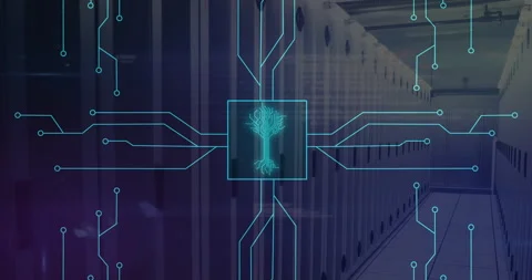 Digital circuit lines and neural network animation over server room background Stock Footage 303430949