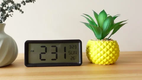 Digital clock and decorative plant on wooden surface Stock Footage 315482876