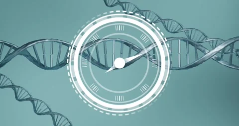 Digital clock ticking over dna structures spinning against blue background Stock Footage 329101532