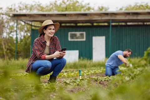Digital, cloud computing farming and planning on a phone of growth Stock Photos