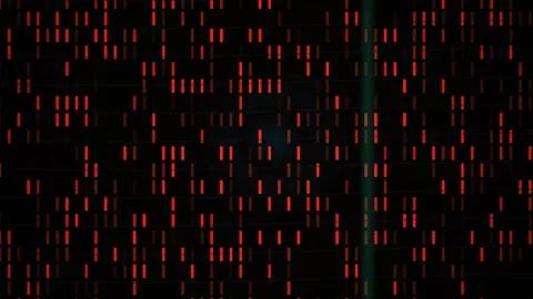 Digital code streaming down screen. Stock Footage 335108039