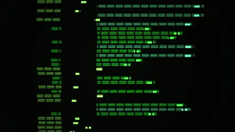 Digital code streaming down screen. Video stock 335108055