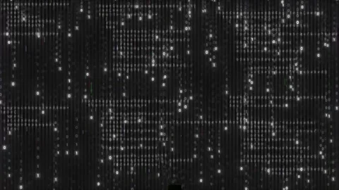 Digital code text, computer hack concept system Stock Footage 303400364