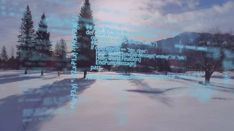Digital codes and snowy field with pines Stock Footage 107668054