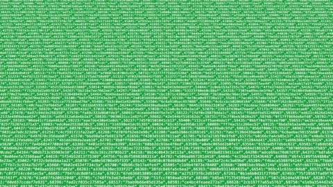 Digital Coding Screen with Scrolling Data Animation Stock Footage 335615087