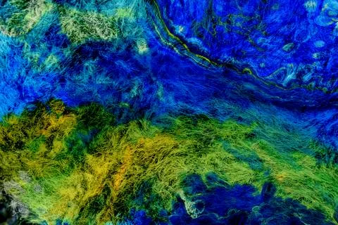 Digital collage of forest elements and glitch textures Stock Photos