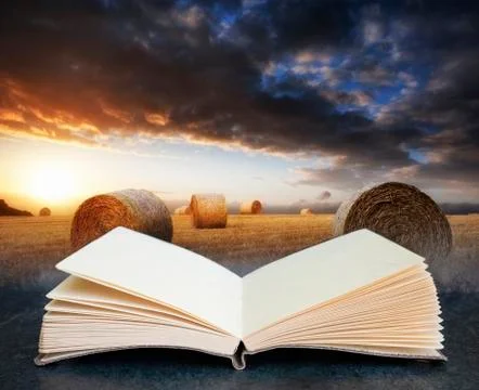Digital composite concept image of open book wth Beautiful golden hour hay ba Stock Photos