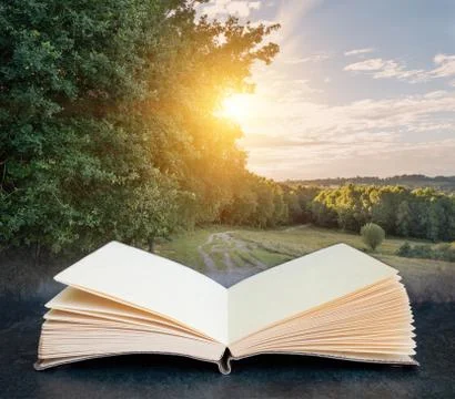 Digital composite concept image of open book wth Summer sunset sunshine throu Stock Photos