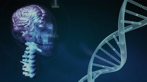 Digital composite of the genetic code of the brain Stock Footage 107401409