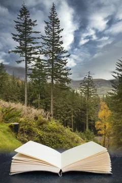 Digital composite image of Beautiful vibrant Autumn Fall landscape of larch t Stock Photos