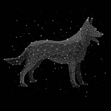 Digital composite image of constellation forming wolf against black background Stock Illustration