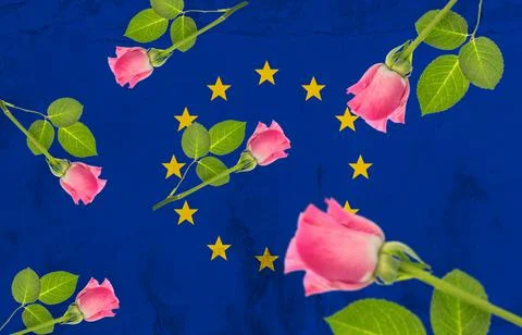 Digital composite image of pink roses over european flag painted on wall, copy Stock Illustration