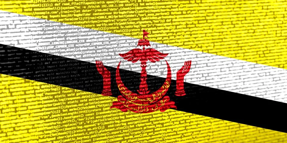 Digital concept with the flag of Brunei on a tech background. Brunei in the c Illustration