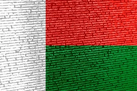 Digital concept with the flag of Madagascar on a tech background. Madagascar  Stock Illustration