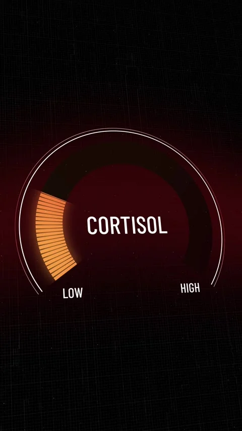 Digital cortisol gauge reading decreasing from high to low, symbolizing stres Stock Footage 319694763