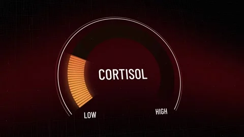 Digital cortisol stress hormone level gauge decreasing, indicator dropping fr 库存影片 319694634