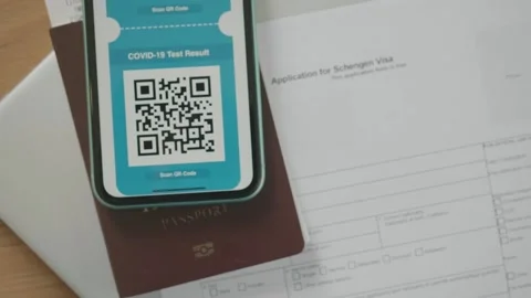 Digital COVID Test Result and Visa Application Form Stock Footage 314273461