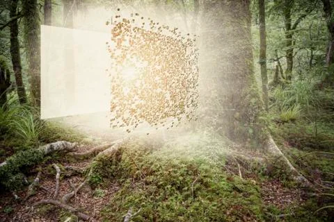 Digital cube exploding in forest Stock Illustration