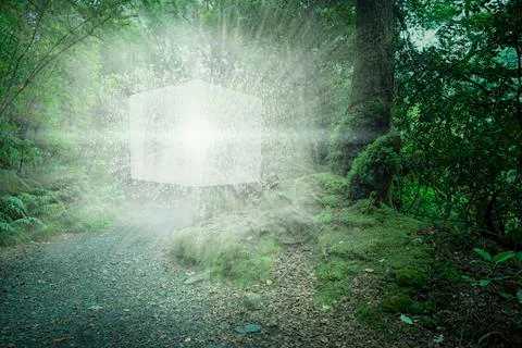 Digital cube exploding in forest Illustrazione stock