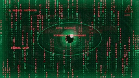 Digital Cyber Security Concept with Green Matrix Code and Scanning Eye Stock-Footage 343171615
