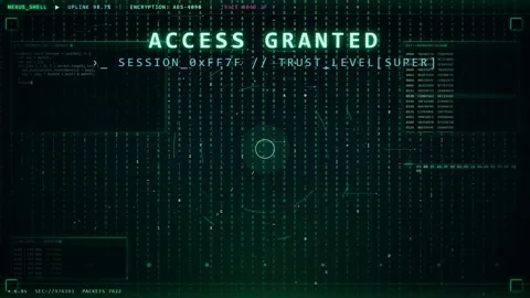 Digital Cyber Security Interface with Access Granted Message and Scrolling Data Stock Footage 345765609