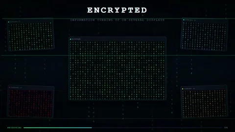 Digital Cyber Security Interface with Encrypted Data Processing and Access Stock Footage 345765520