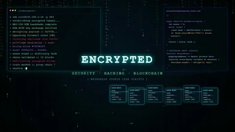 Digital Cyber Security Interface with Encrypted Data Streams and System Warning Stock Footage 345766460