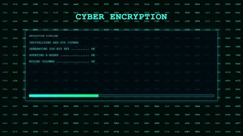 Digital Cyber Security Interface with Hacking Protocol and System Error Warning Stock Footage 345765997