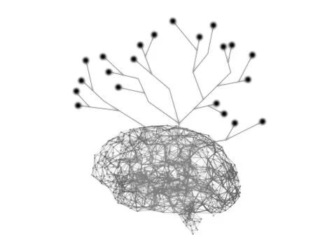 Digital data and network connection of human brain with tree structure isolat Ilustración de archivo